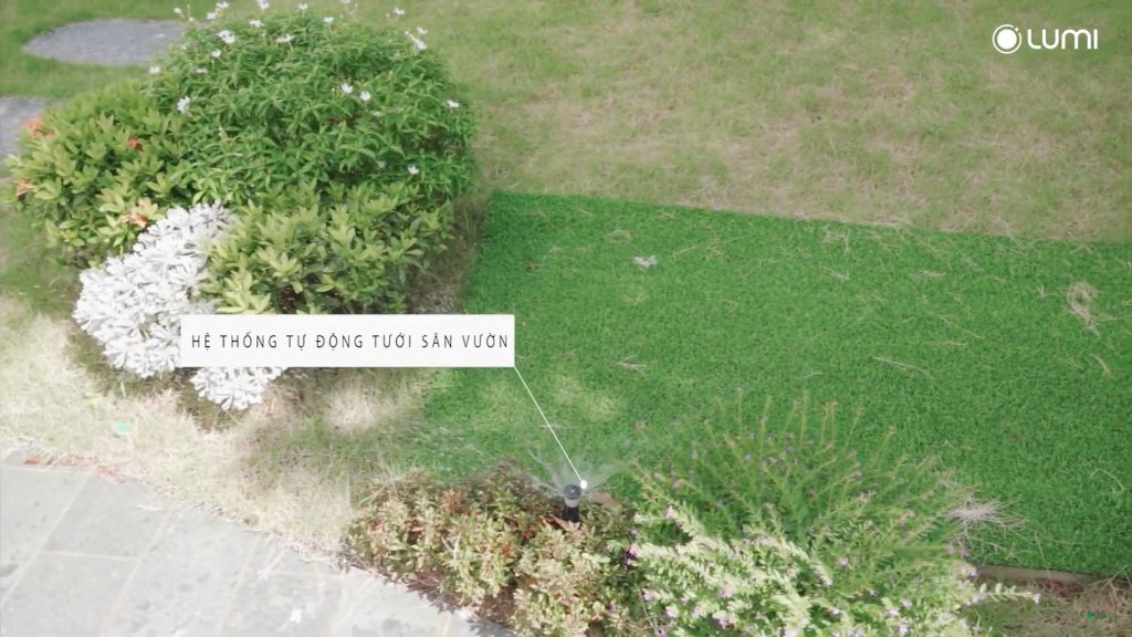 Hệ thống tự động tưới sân vườn khi đến giờ hẹn